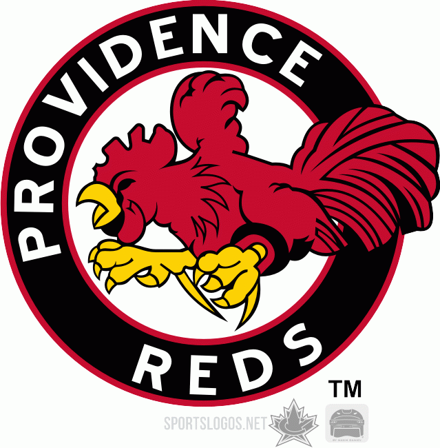 Providence Reds 1975 76-1976 77 Primary Logo iron on transfers for clothing
